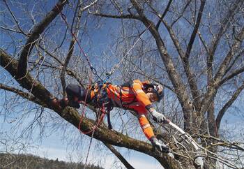 Husqvarna Climbing Harness