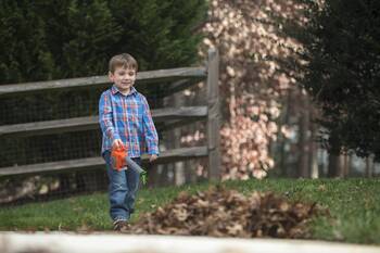 Toy Leaf Blower